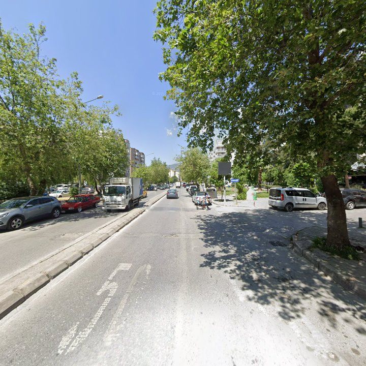 Fotoğraf 13