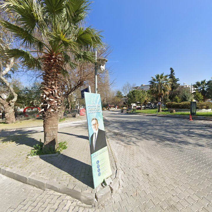 Fotoğraf 10