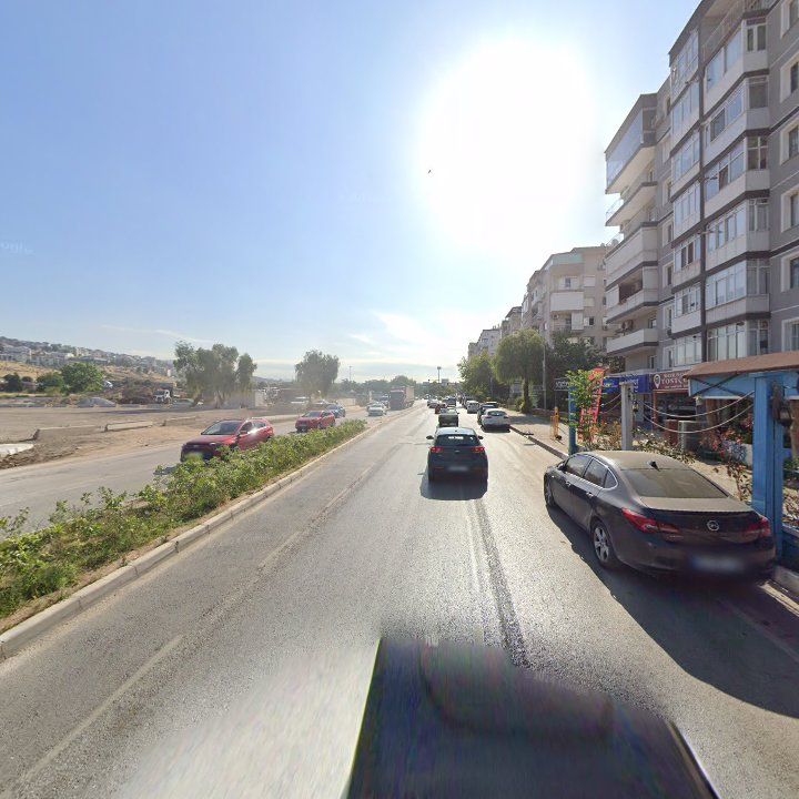 Fotoğraf 9