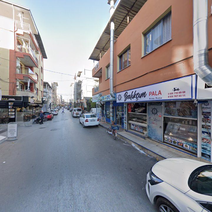 Fotoğraf 14
