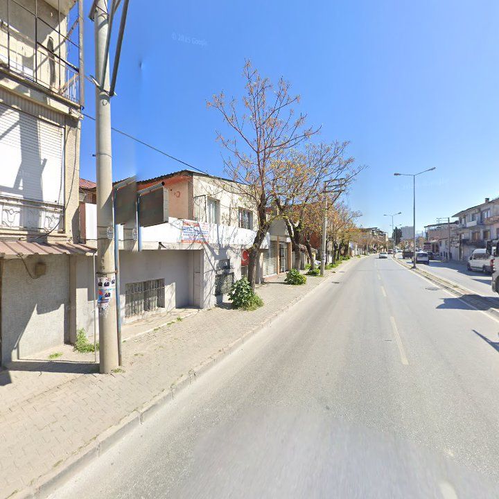 Fotoğraf 2