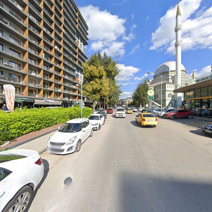 Fotoğraf 8