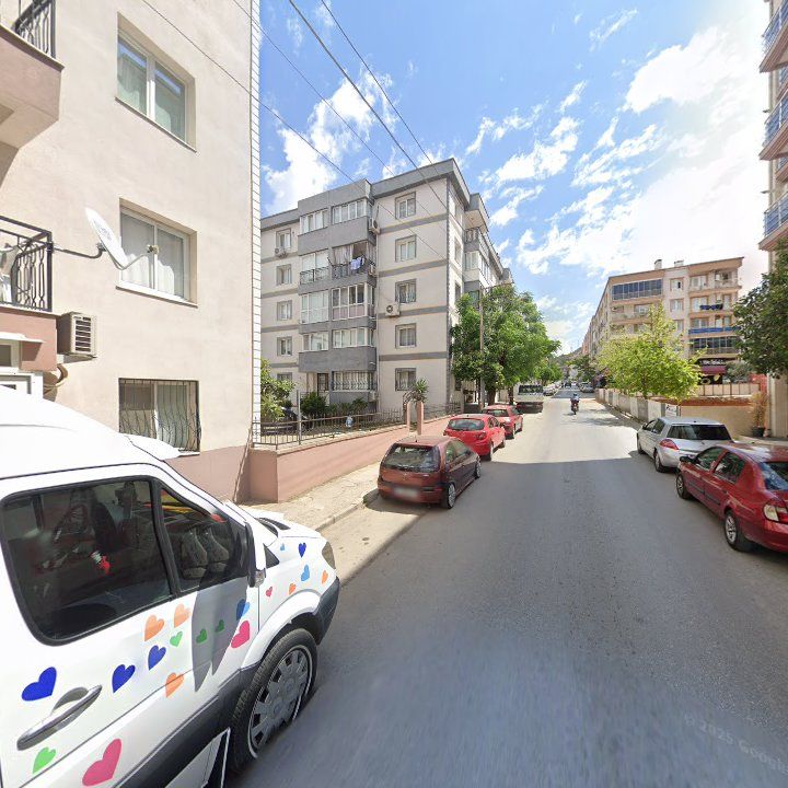 Fotoğraf 10