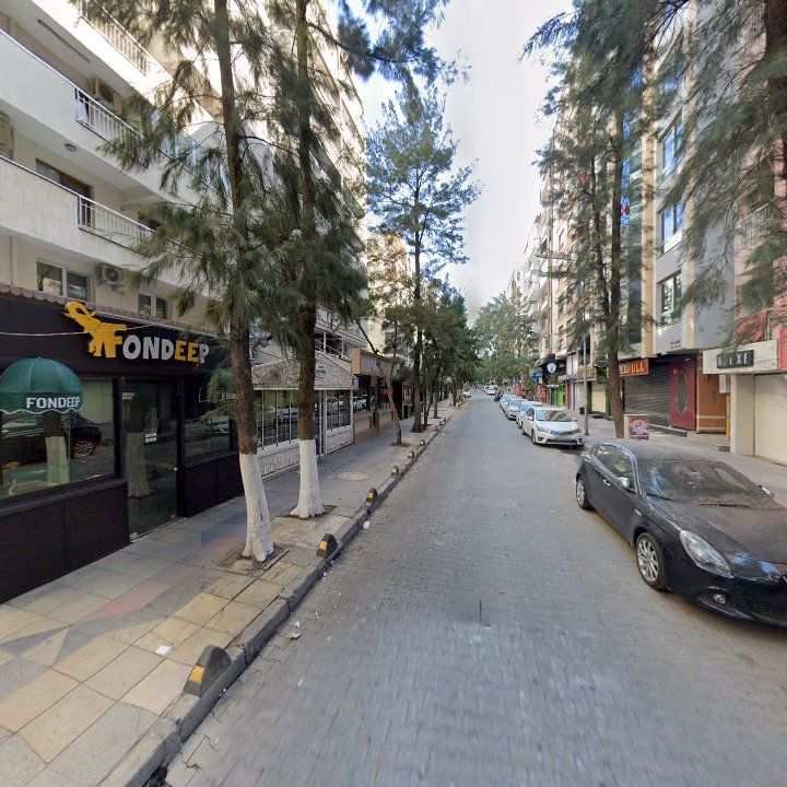 Fotoğraf 10
