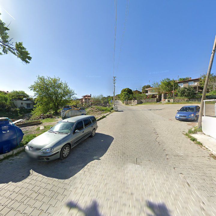 Fotoğraf 10