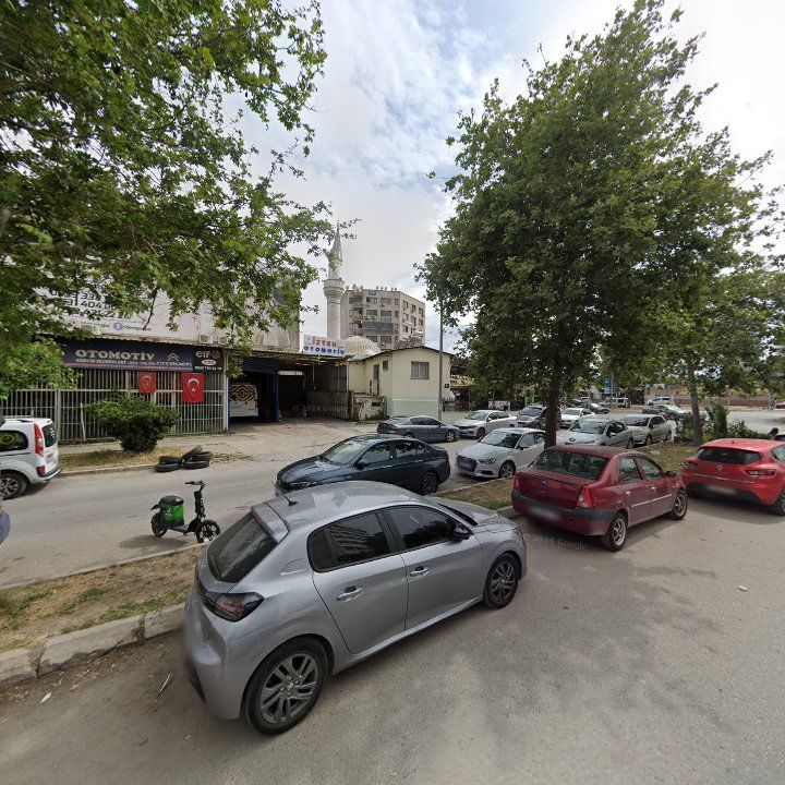 Fotoğraf 9
