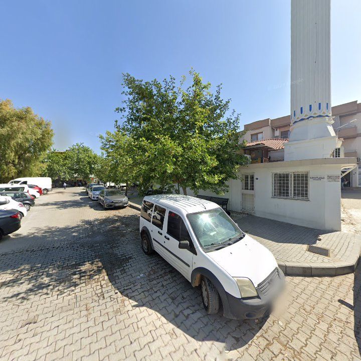 Fotoğraf 8