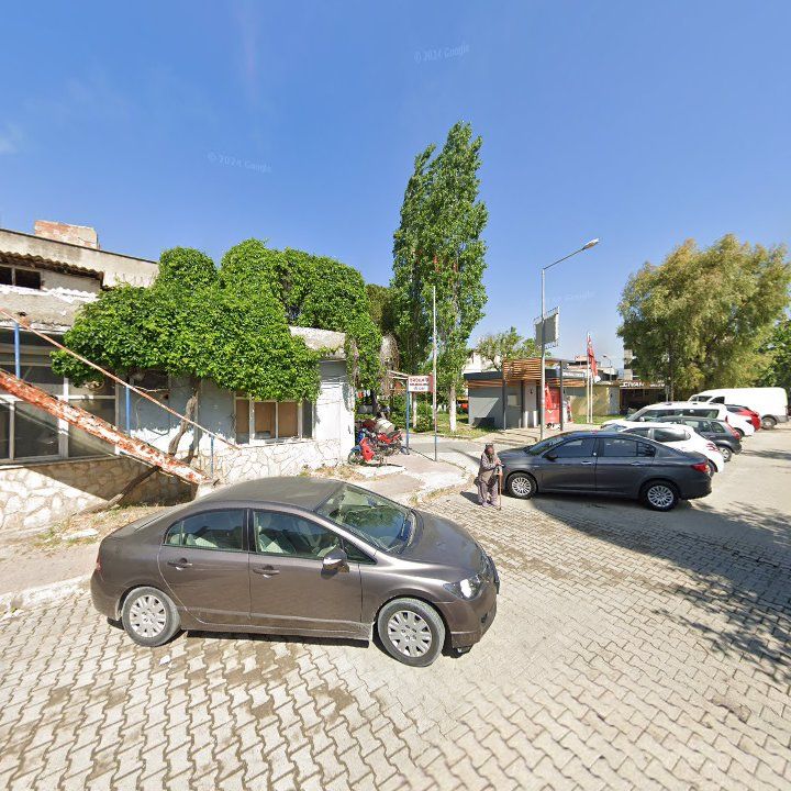 Fotoğraf 7