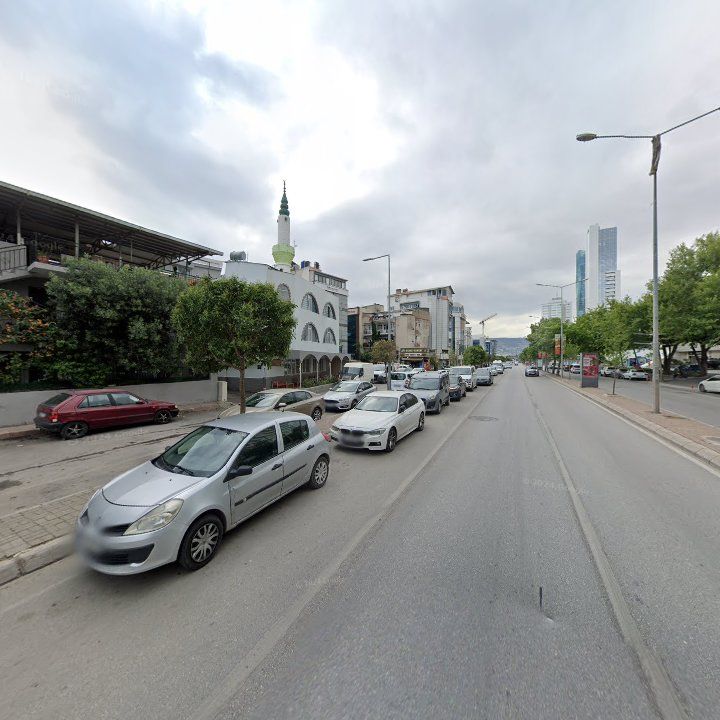 Fotoğraf 10