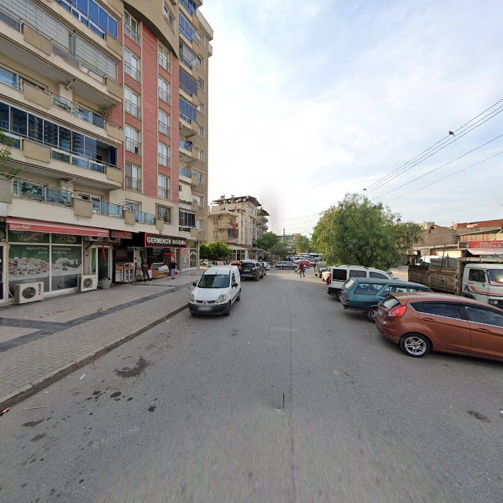 Fotoğraf 6