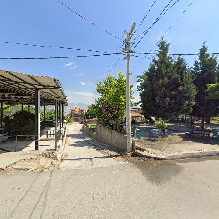 Fotoğraf 3