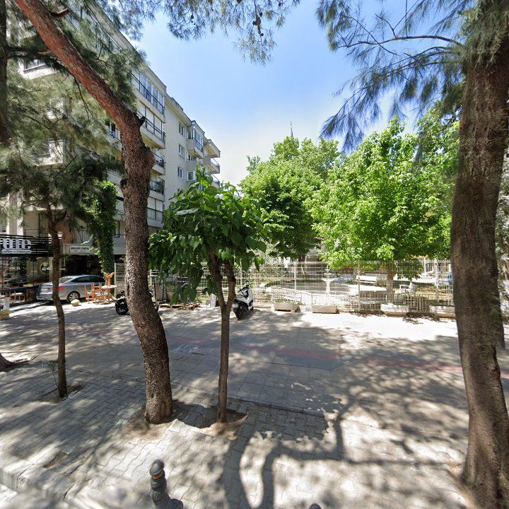 Fotoğraf 9