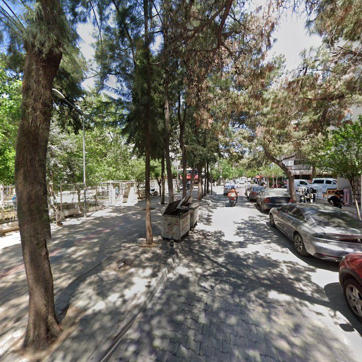 Fotoğraf 10