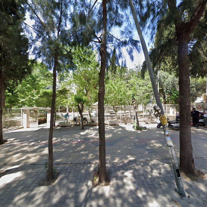 Fotoğraf 9