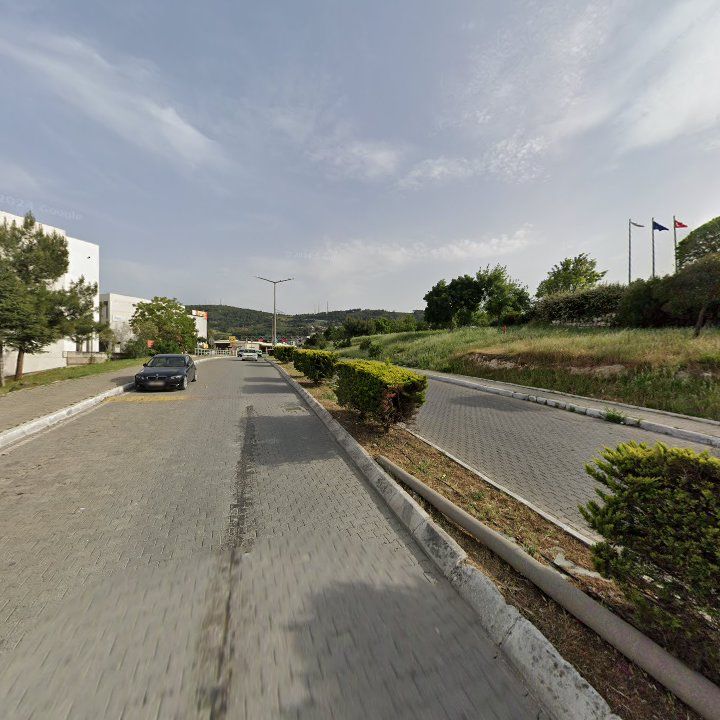 Fotoğraf 6