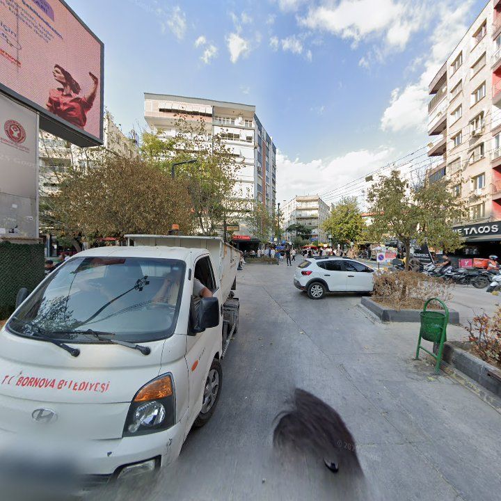Fotoğraf 11