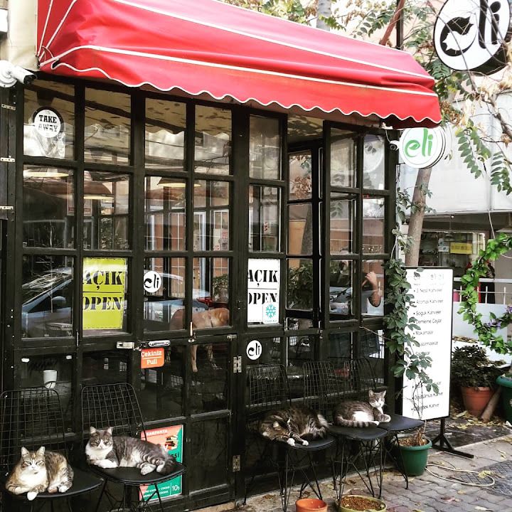 Cafe Eli Coffeehouse & Vegan Food