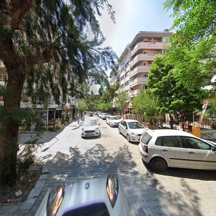 Fotoğraf 14