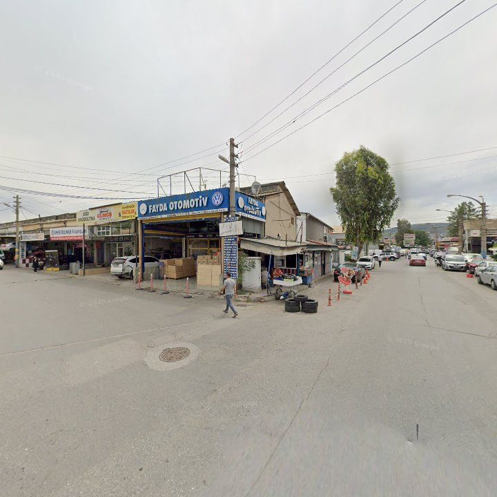 Fotoğraf 8