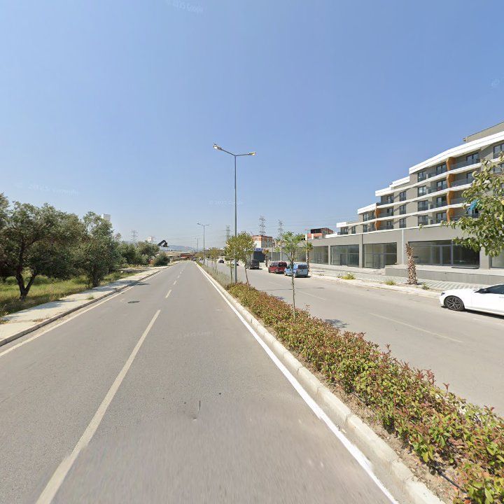 Fotoğraf 11