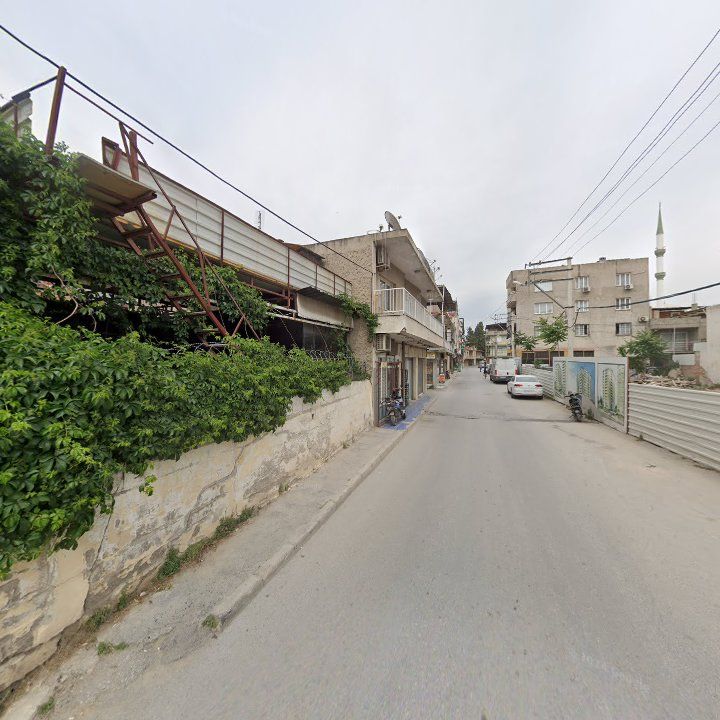 Fotoğraf 5