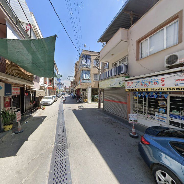 Fotoğraf 12