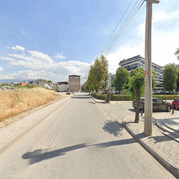 Fotoğraf 10
