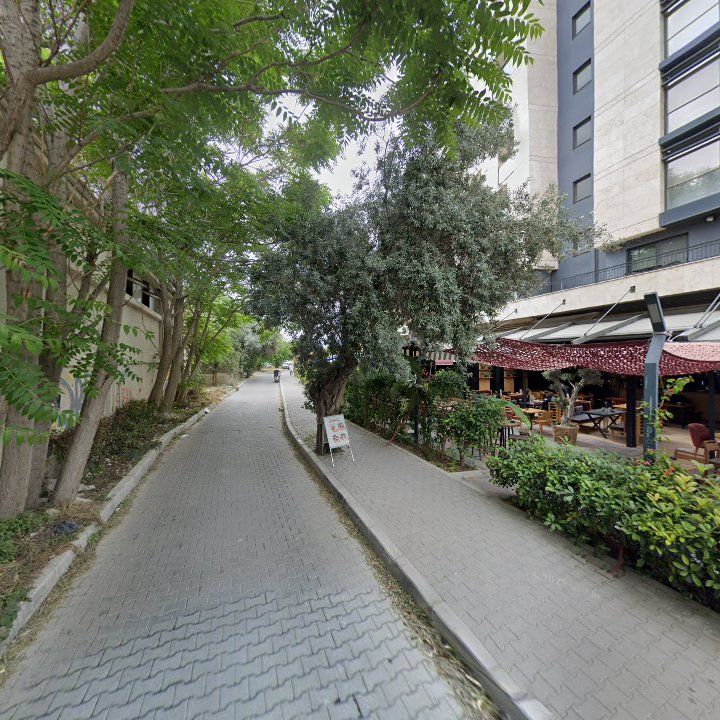 Fotoğraf 8