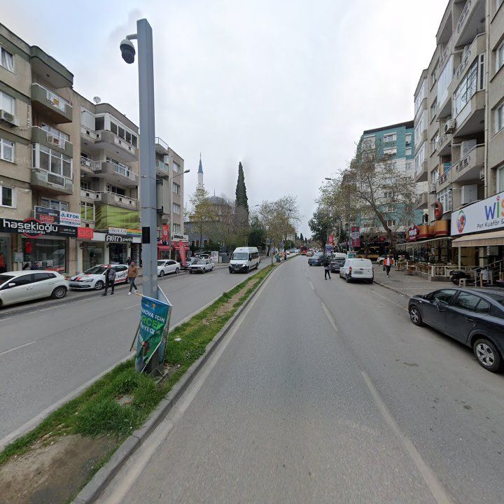 Fotoğraf 11