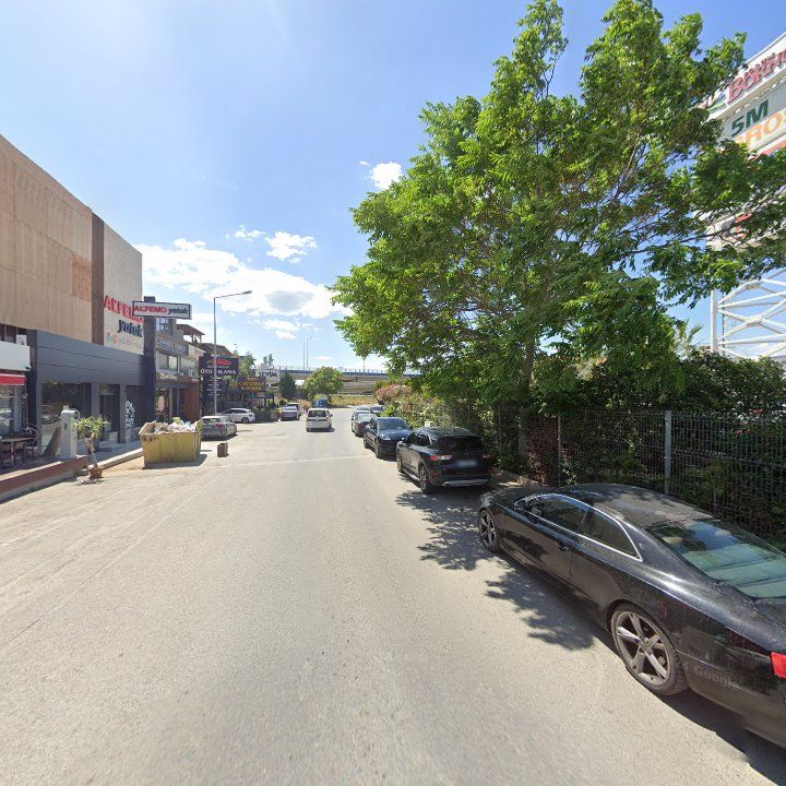 Fotoğraf 15