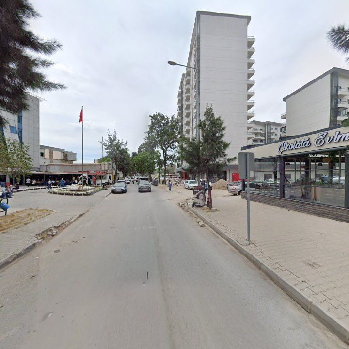 Fotoğraf 8