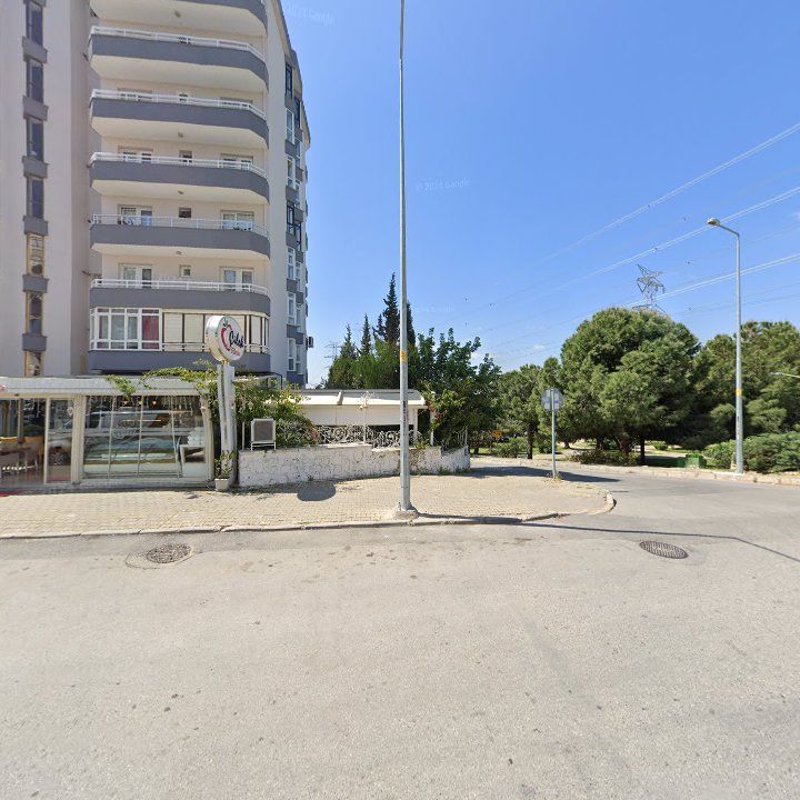 Fotoğraf 9