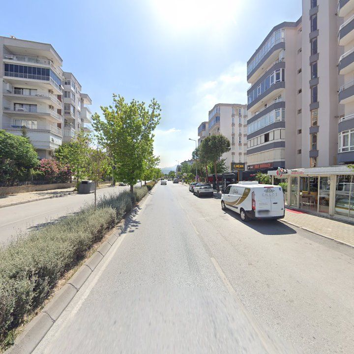 Fotoğraf 12