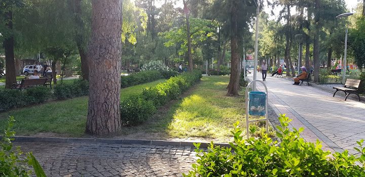 Fotoğraf 8