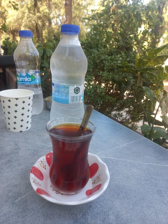 Fotoğraf 9