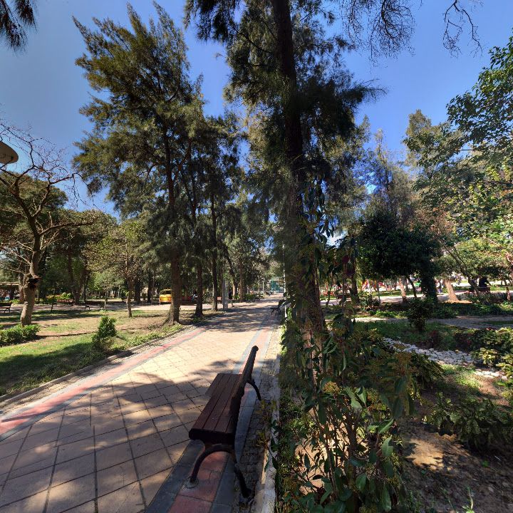 Fotoğraf 11