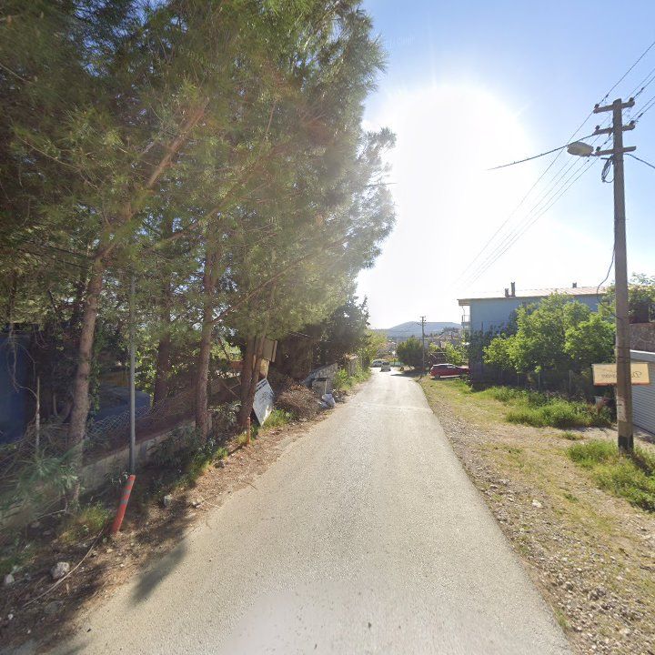 Fotoğraf 9