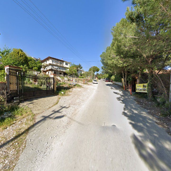 Fotoğraf 11