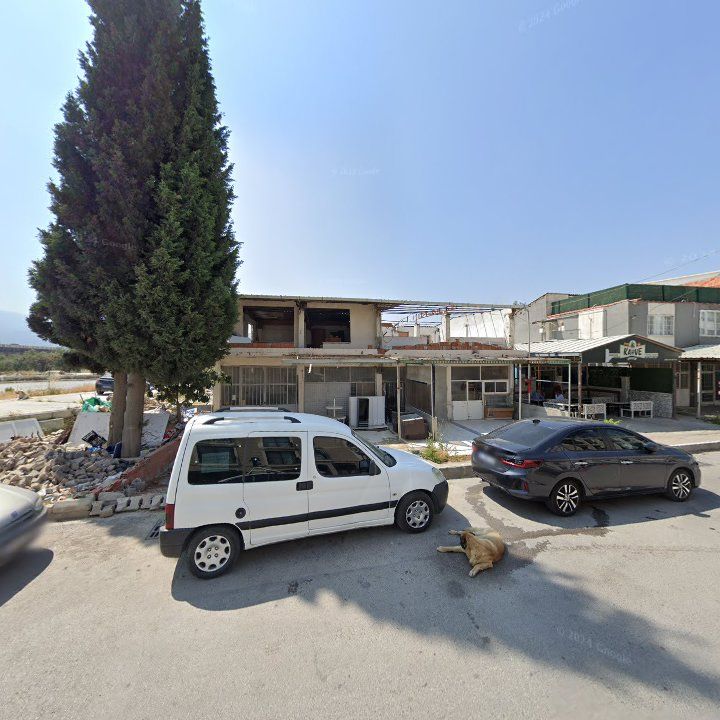 Fotoğraf 7