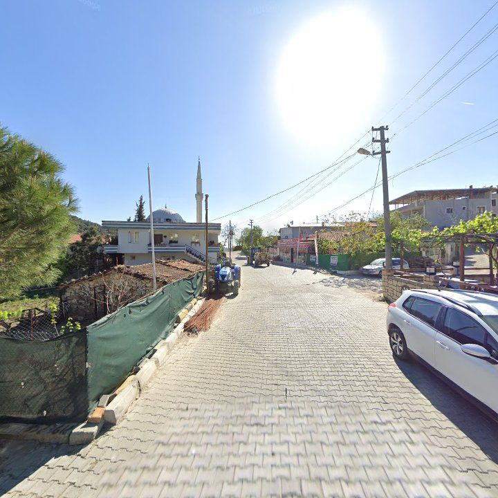 Fotoğraf 7