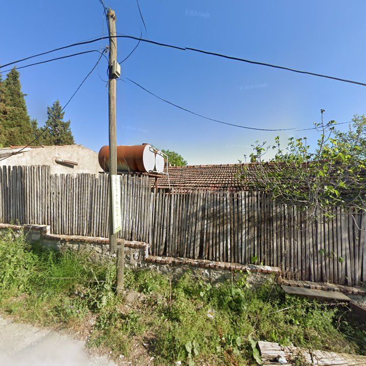 Fotoğraf 11