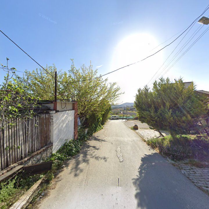 Fotoğraf 12