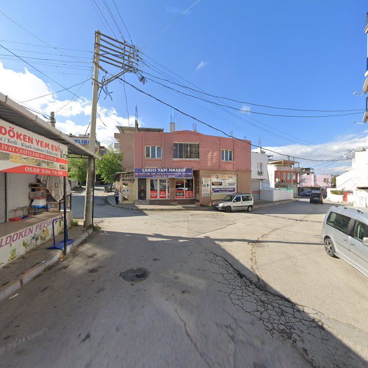 Fotoğraf 11
