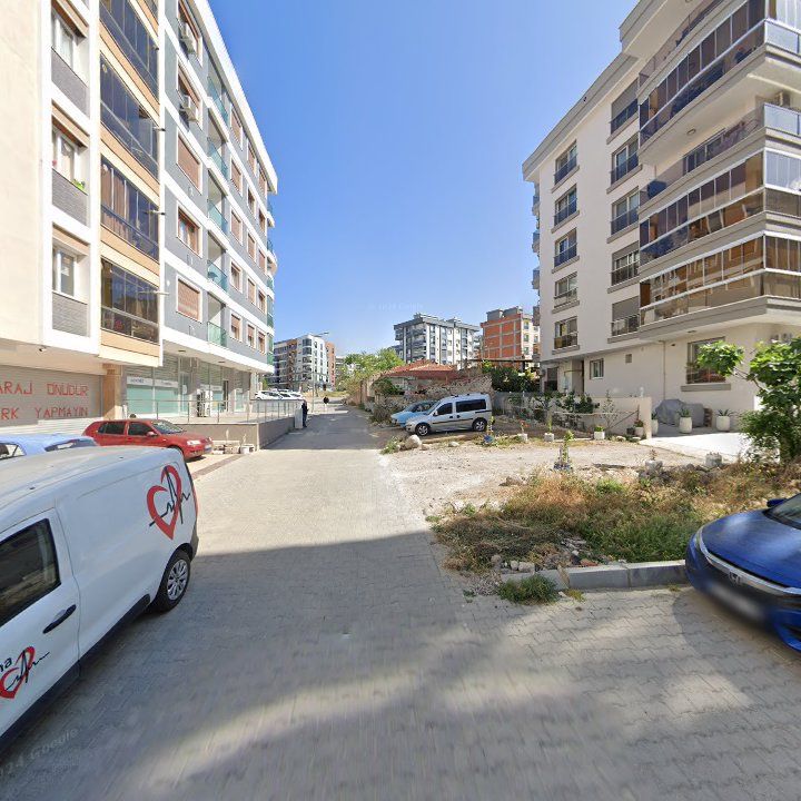 Fotoğraf 12