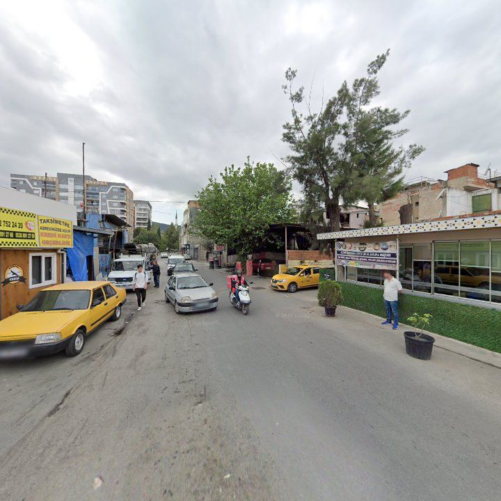 Fotoğraf 6