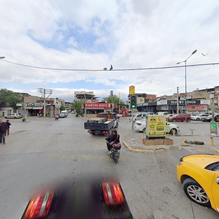 Fotoğraf 8