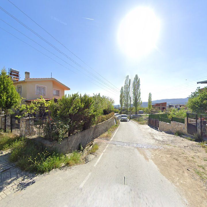 Fotoğraf 6