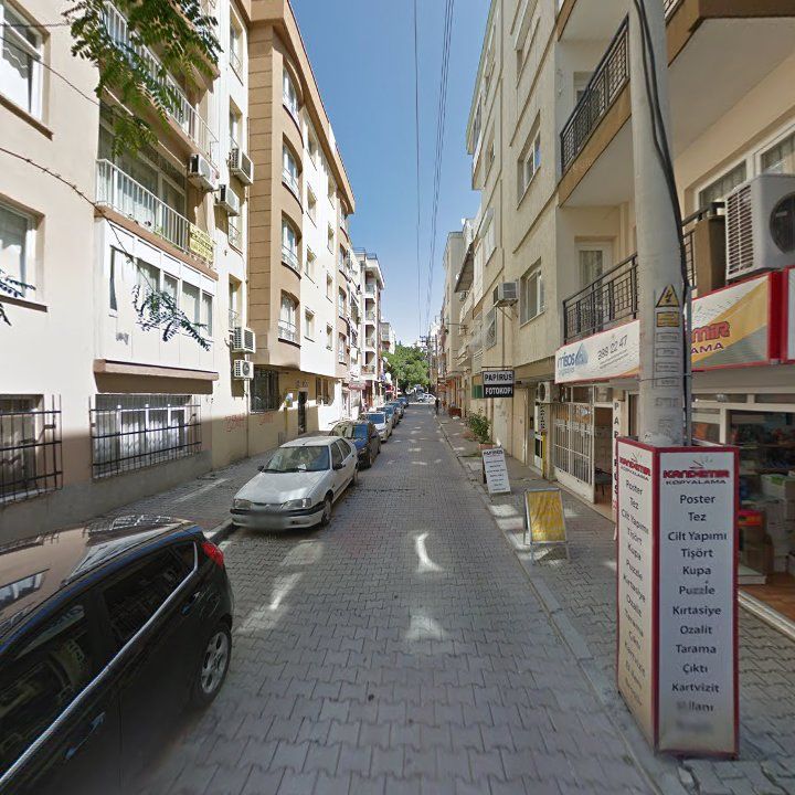 Fotoğraf 8
