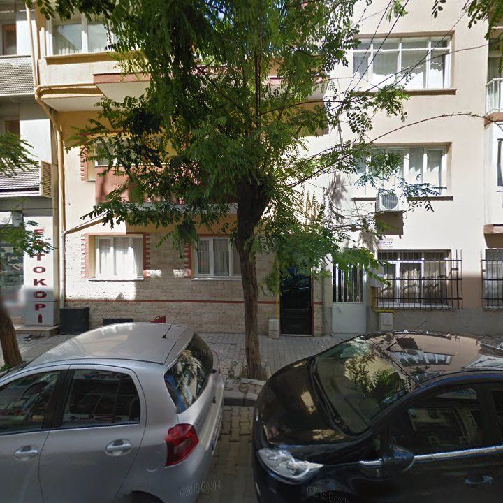 Fotoğraf 7