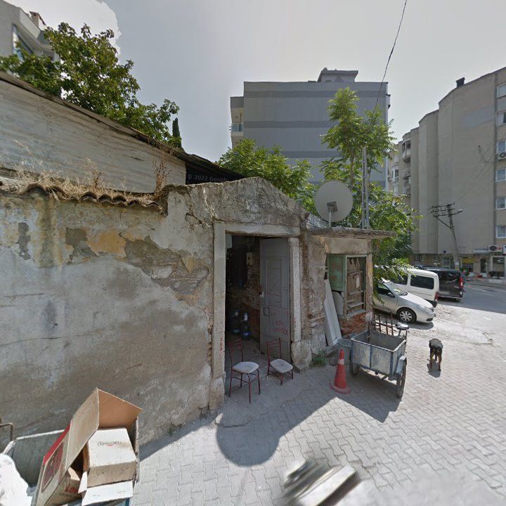Fotoğraf 9
